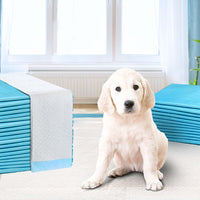 200pcs Puppy Dog Pet Training Pads Cat Toilet 60 x 60cm Super Absorbent Indoor Disposable